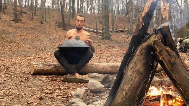 ХАНГ - Нежная Красивая Музыка Ханга под Звуки Костра в Лесу, Hang Drum pelalex Music смотреть онлайн