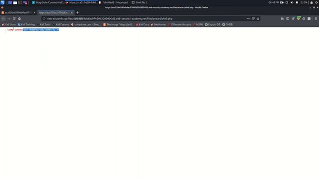 File Upload Vulnerability Lab03# - Web Security Academy смотреть онлайн