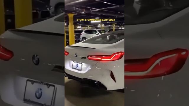 С какой валютой ехать за авто в Беларусь #epts #auto #глонасс #shorts смотреть онлайн