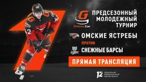 Прямая трансляция матча «Омские Ястребы» — «Снежные Барсы». Старт турнира «G-Drive CUP» (02.08.24)