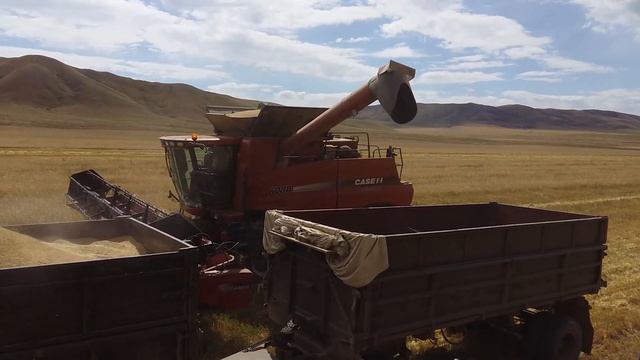 уборка ячменя смотреть онлайн