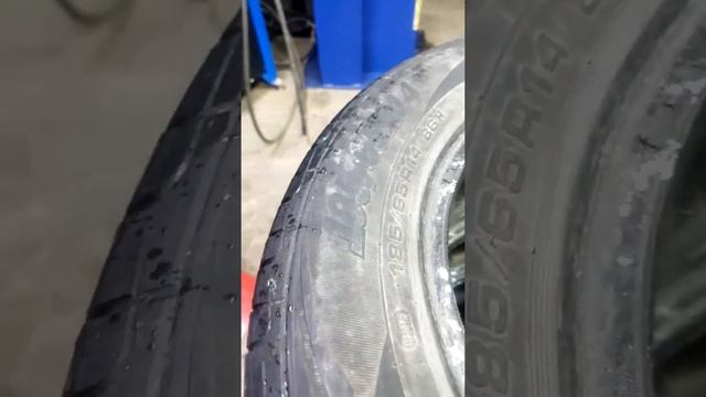 Amtel, кордиант