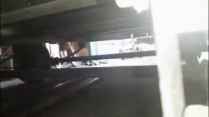 Пчеловодство. Шаг к промышленному пчеловодству. Платформа для перевозки пчел.