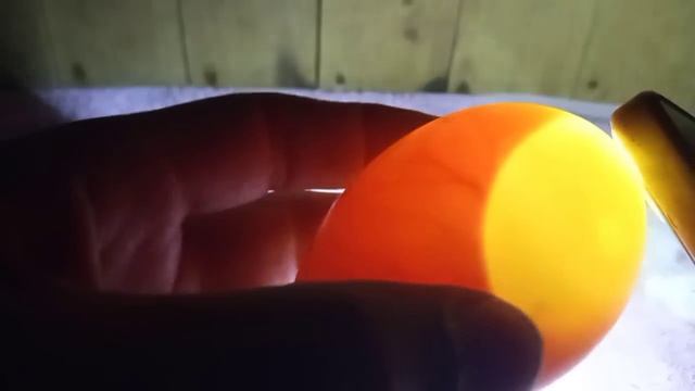 Сколько яиц под уткой было и что осталось после 12 дней насиживания яиц. Проверяю в яйцах зародыши смотреть онлайн