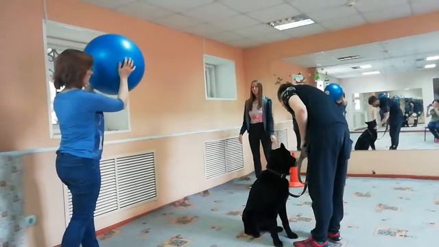 Пума и мяч смотреть онлайн