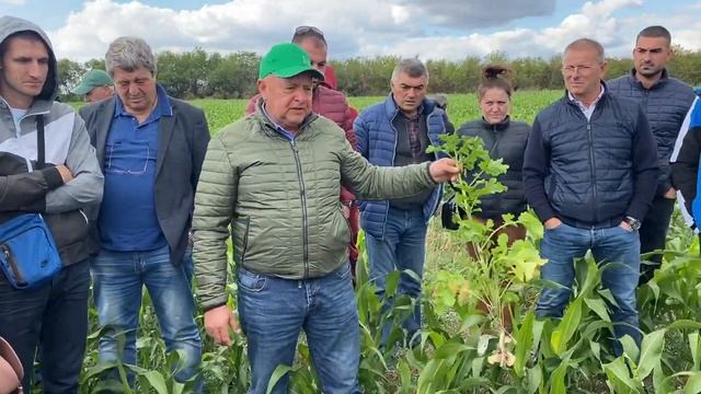 Покровные культуры - это очень большая проблема смотреть онлайн