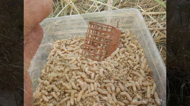 рыбалка после отравления Кубани смотреть онлайн