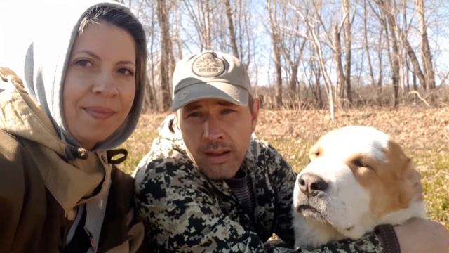 ЗУР БАШИ питомник алабаев (КАК ПРИУЧИТЬ ЩЕНКА К МАШИНЕ❓) смотреть онлайн