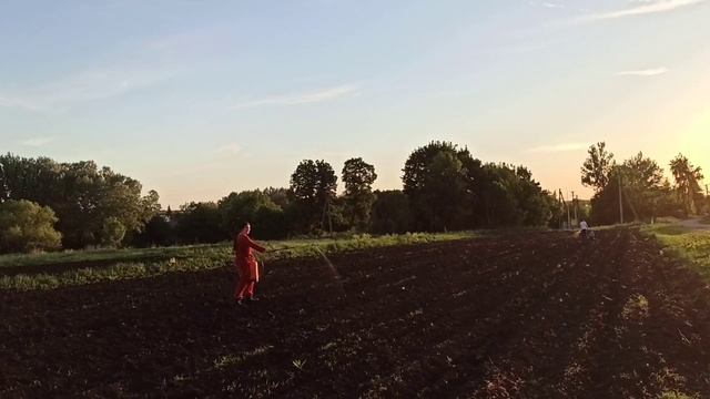 Как избавиться от сорняков в огороде. смотреть онлайн