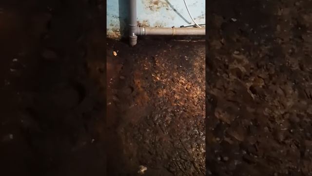 Подтопление подвала Ярославль Свердлова 91 смотреть онлайн