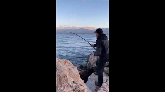 Tuna catch from shore 52 kg смотреть онлайн