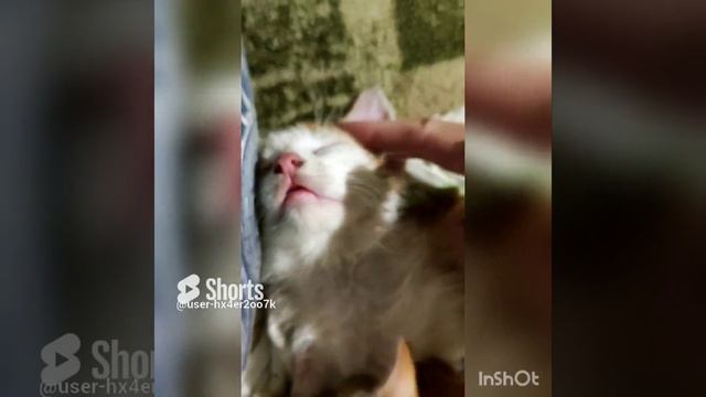 саня в порядке... саня спит