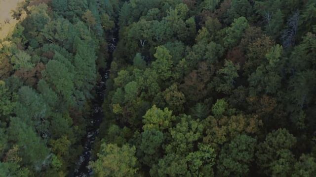 Свекровь прячет еду, потому что считает меня толстой смотреть онлайн