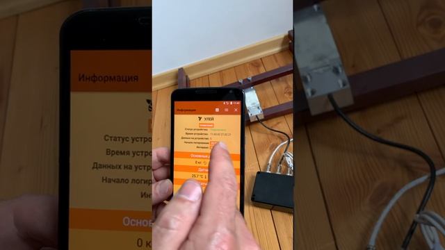 Умные весы для пчеловодов SmartBee. Часть 2. смотреть онлайн