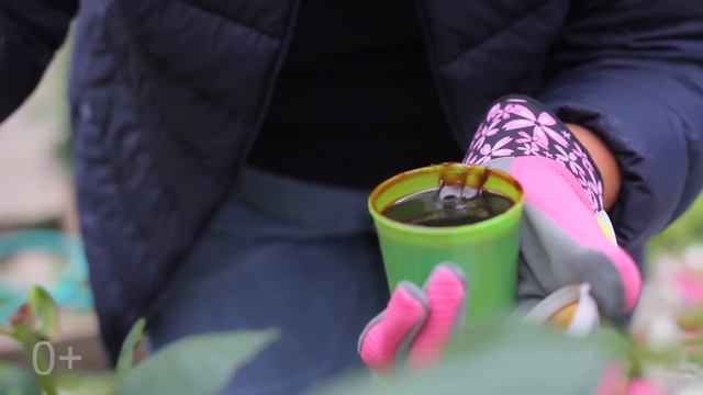 Как укрывать розы на Урале смотреть онлайн