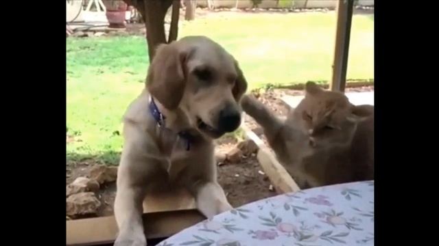 Звук боли смотреть онлайн