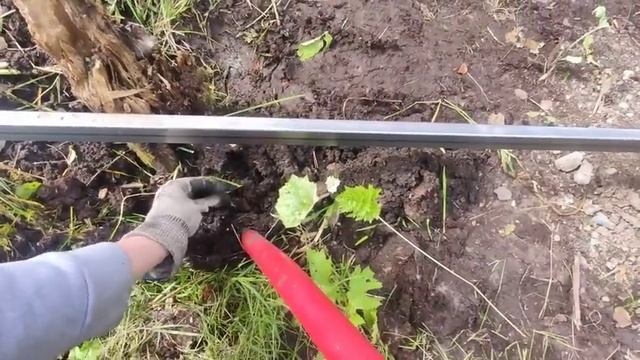 Послушали подписчиков и купили/крашу забор/прикрутили профлист/смотрим септик/жизнь за городом. смотреть онлайн