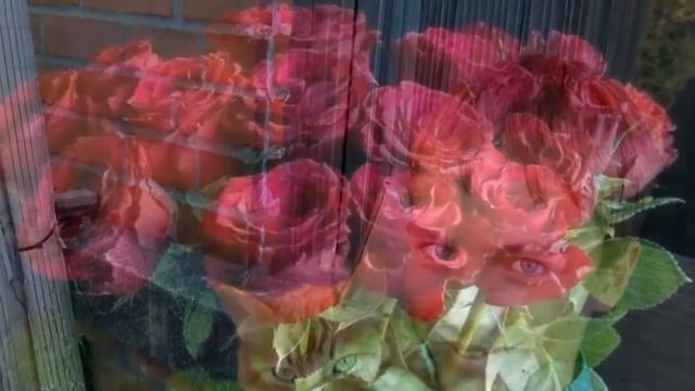 ЮНОСТЬ ВАДИМА ПАПУРА,ЗДРАВСТВУЙ ЛЮБИМАЯ, МАМА МОЯ, Я ОБНИМУ ТЕБЯ, СЛЁЗ НЕ ТАЯ смотреть онлайн