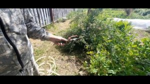 Абиссинская скважина после 9 месяцев простоя заилилась и не работает?