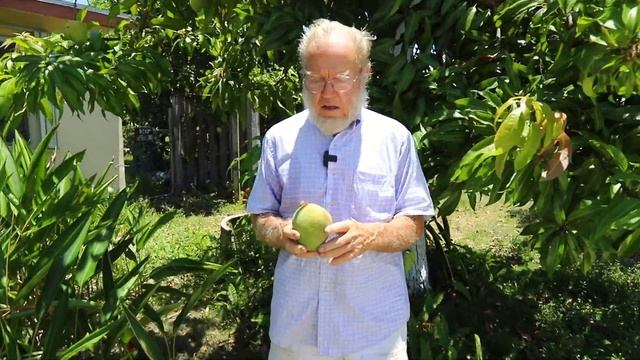 'Buttercream' Mango with Walter Zill смотреть онлайн