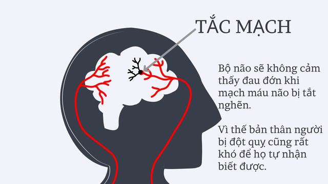 Đột quỵ diễn ra như thế nào? | Tai biến mạch máu não là gì? | Tri thức nhân loại смотреть онлайн