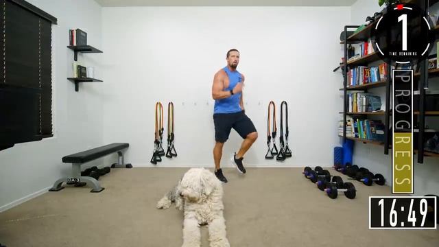 30 Minute Full Body Dumbbell Workout - Get Tone and Lose Weight смотреть онлайн