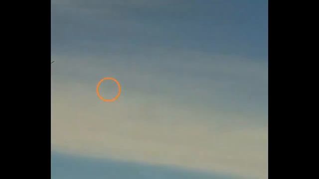 КАК СТРЕЛЯТЬ ФАЗАНА смотреть онлайн