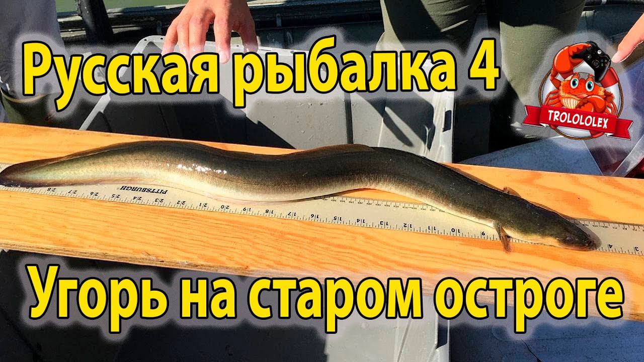 Русская рыбалка 4 Угорь на старом остроге смотреть онлайн
