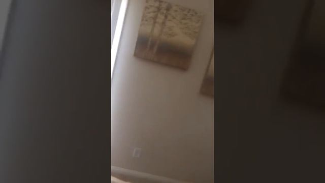 How to Use a Laser Measure смотреть онлайн