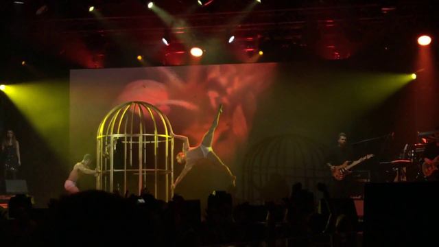 Винтаж RayJustArena деревья смотреть онлайн