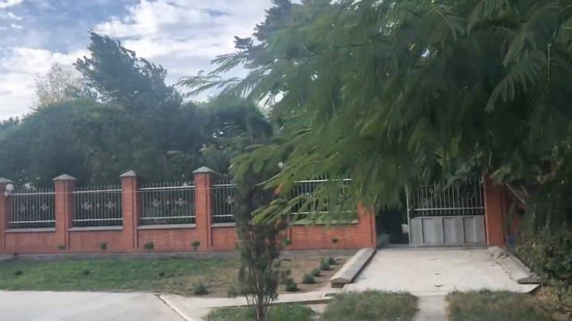 Марсик Лирик Мира и Джерик поздравляют Дашу !!! смотреть онлайн