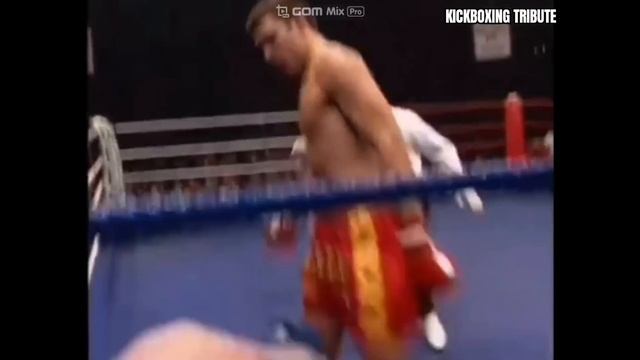 Peter Aerts ► Top 20 Best Knockout Highlights - Extreme High Kick!