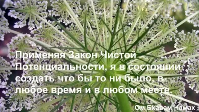 8 День из 21 Медитации на Изобилие Чистая Потенциальность смотреть онлайн