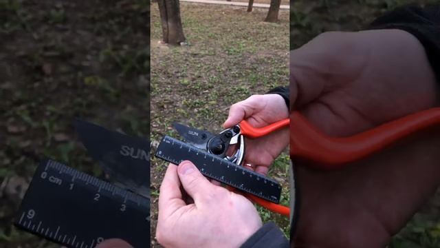 Секатор ножницы садовый профессиональный для сада огорода растений сучкорез кусторез ручной сталь смотреть онлайн