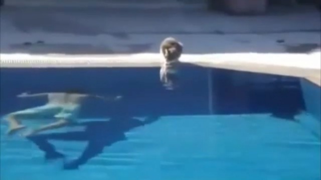 Окатил кота смотреть онлайн