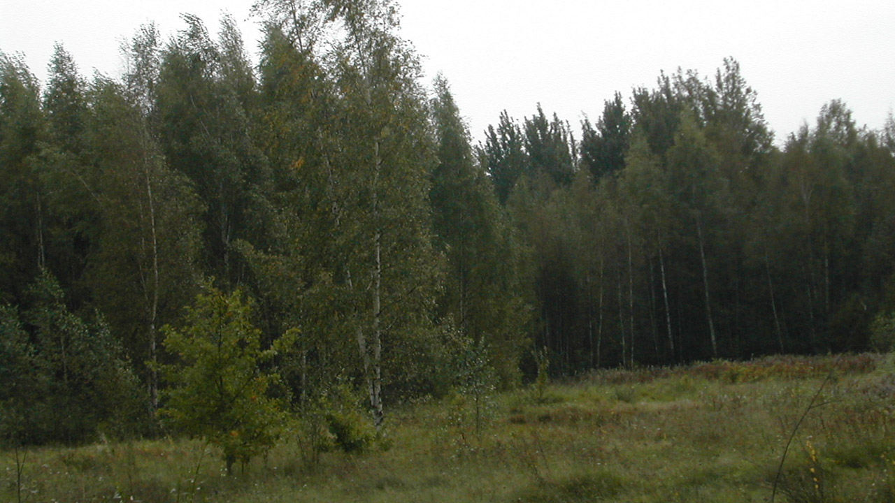 Иеромонах Роман. «Когда пойду на суд душой…» смотреть онлайн