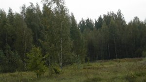 Иеромонах Роман. «Когда пойду на суд душой…»