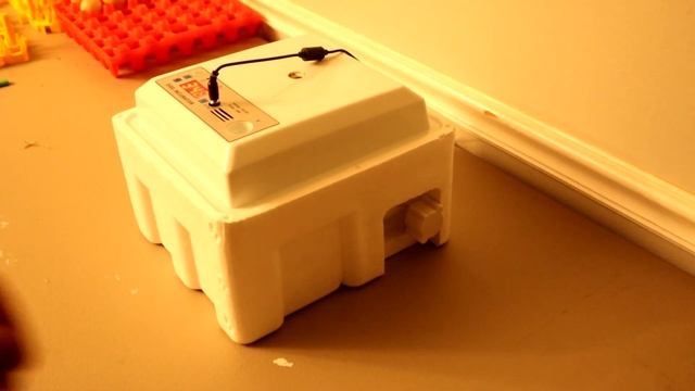 16 Egg Incubator Unboxing | Automatic Egg Incubator Review & Instructions смотреть онлайн