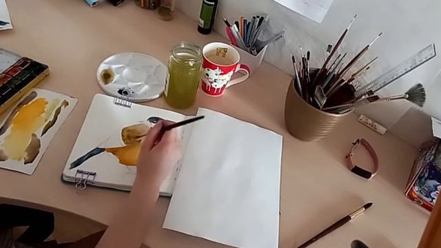 Рисуем жирных птичек акварелью смотреть онлайн