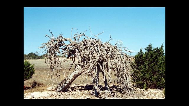 Formentera 222 2 Berberia смотреть онлайн