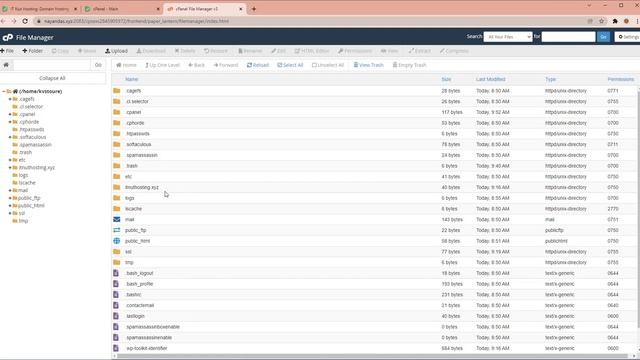 How to show cPanel Hidden Files - IT Nut Hosting смотреть онлайн