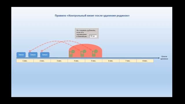 Что такое защитная зона для активатора правила в "МЕДУЧЕТ SQL"? смотреть онлайн
