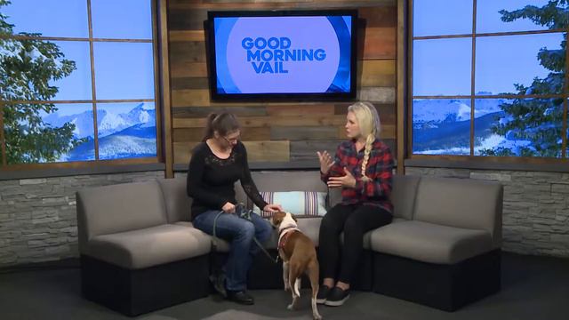 Eagle County Animal Shelter   Rhiannon Rowe   11.06.19