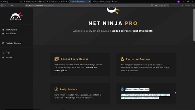 Introducing Net Ninja Pro (Access All Udemy Courses for $9) смотреть онлайн