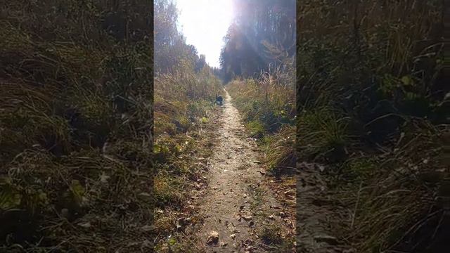 Персей. смотреть онлайн