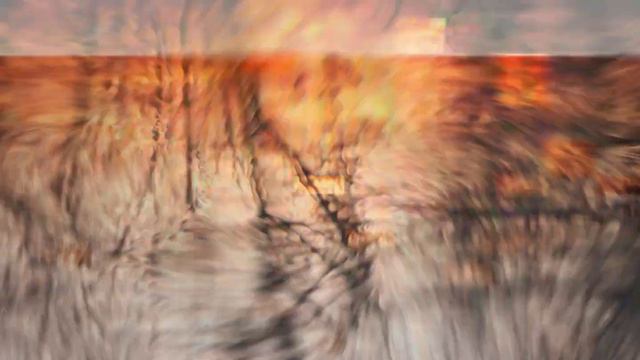 [IRL] смотреть онлайн