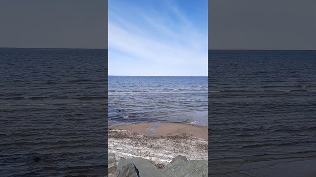 Затока Святого Лаврентія