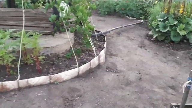 #Обзор#дачи 4 июля 2020 г.