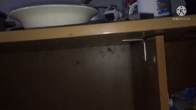 VLOG/ Даня готовит обед/ Познакомился с павуками/?? смотреть онлайн