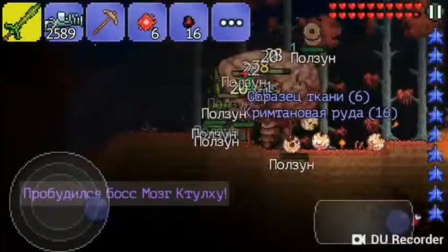 Террария второй босс Мозг Ктулху смотреть онлайн